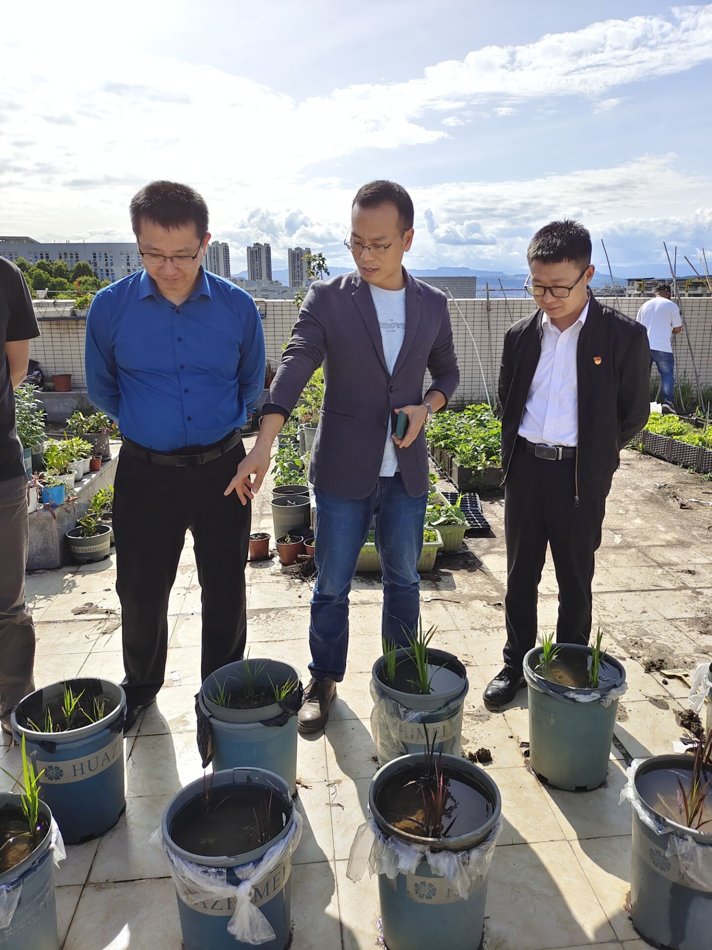 Cache_-454d5b73939f66de.